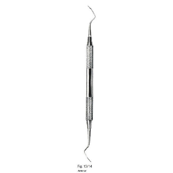 Anterior