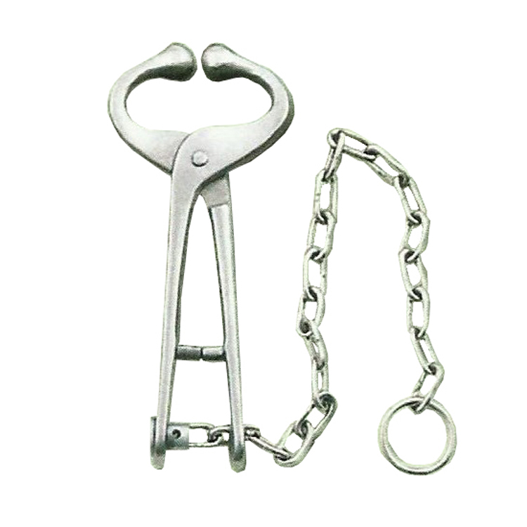Bull Holder
