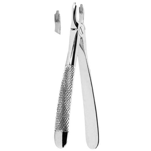 Extracting Forceps Fig. 43a