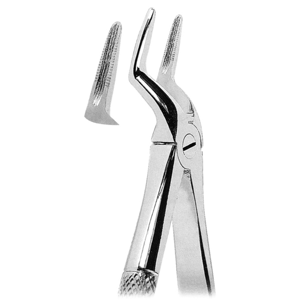 Extracting Forceps Fig. 51a