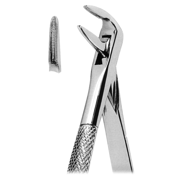 Extracting Forceps Fig. 59l