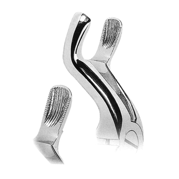 Extracting Forceps Fig. 67a
