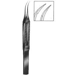 Eye Forceps