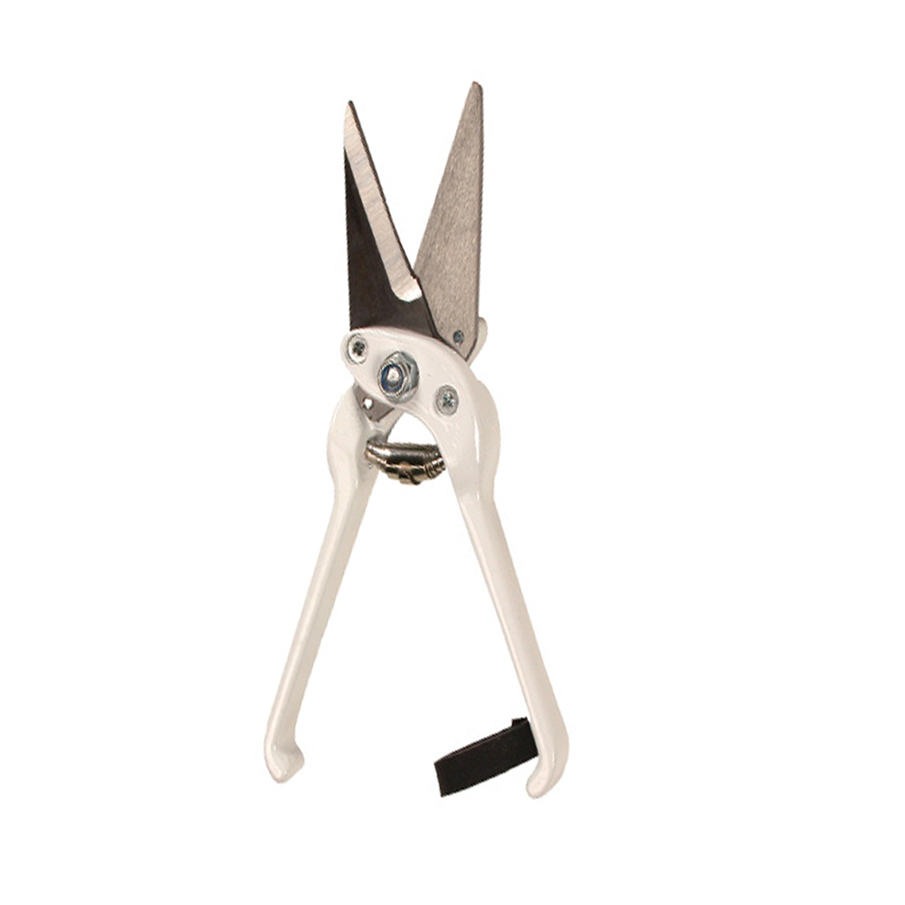Foot Rot Shears