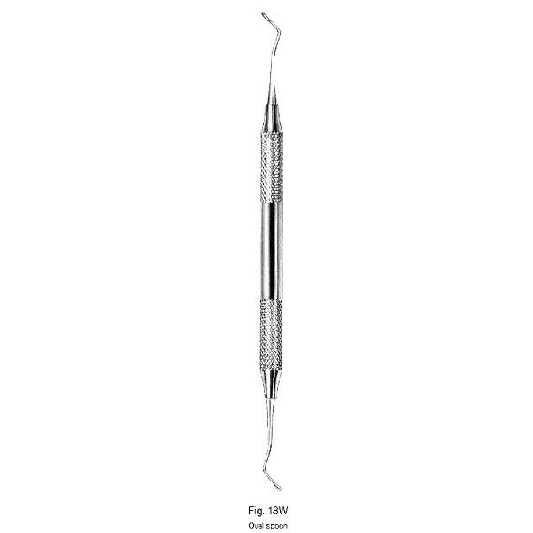 Oval Spoon