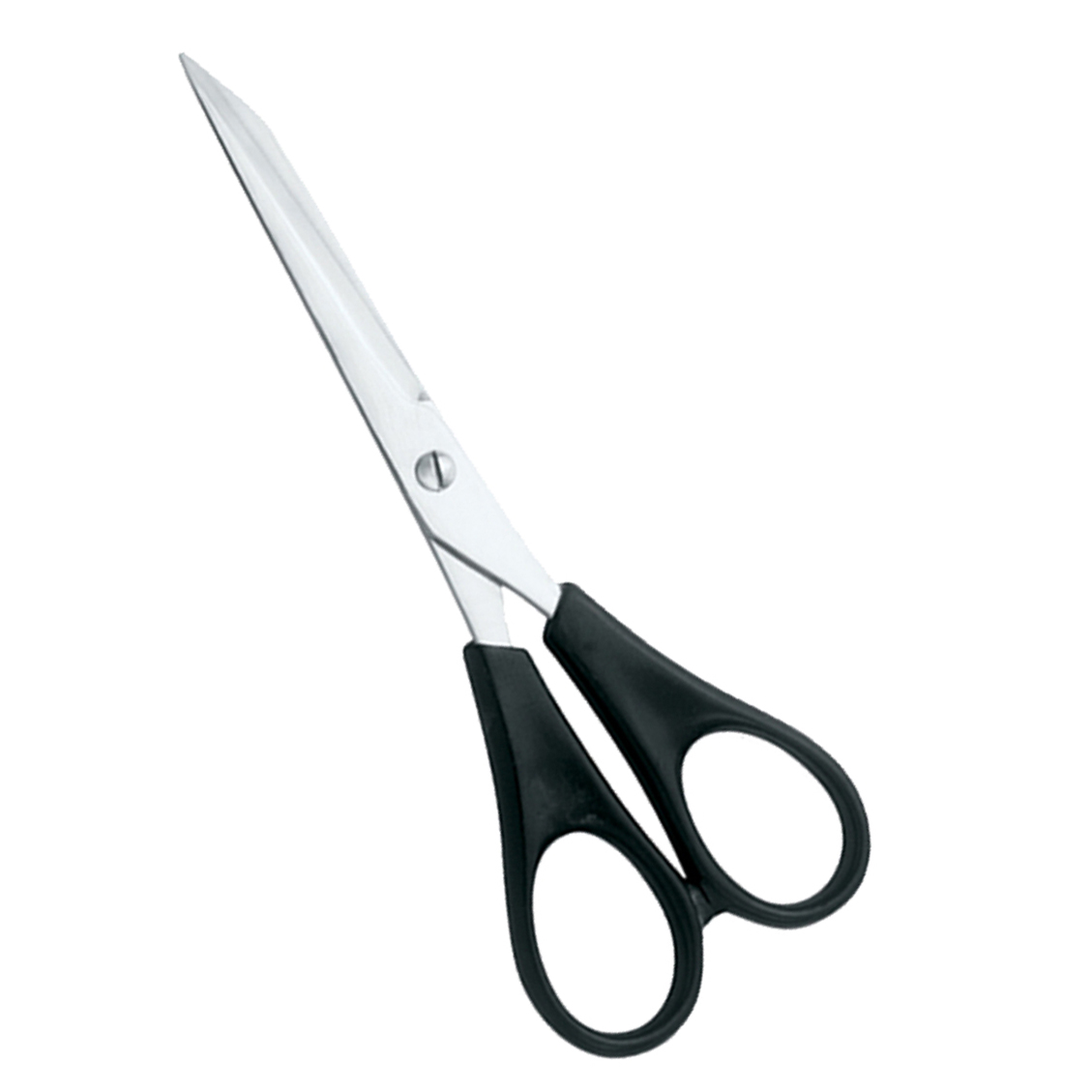 Plastic Handle Scissors