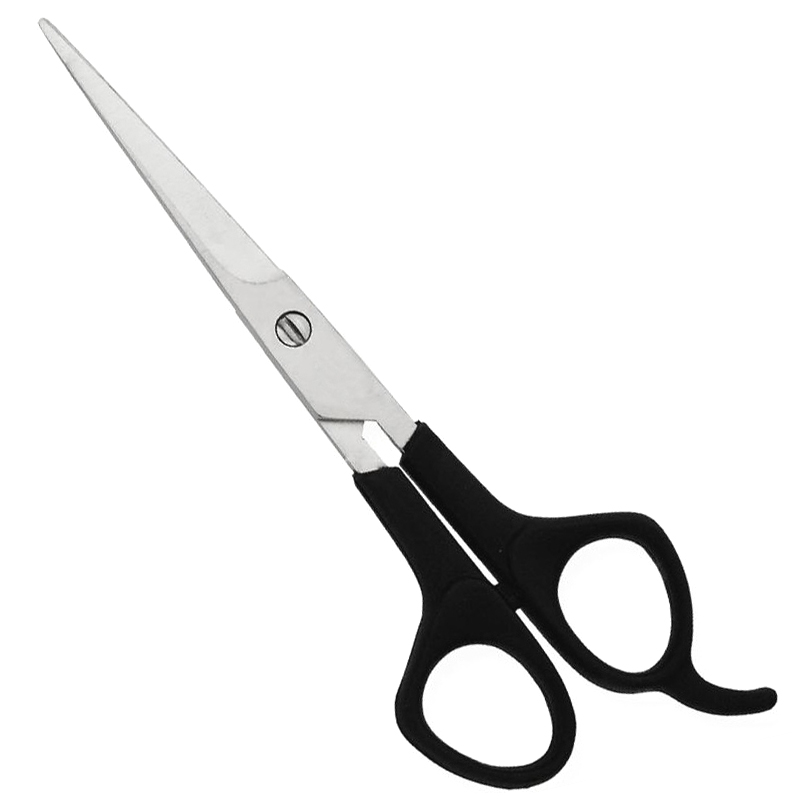 Plastic Handle Scissors