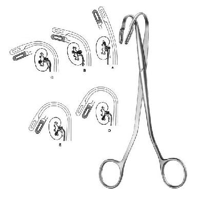 Urology
