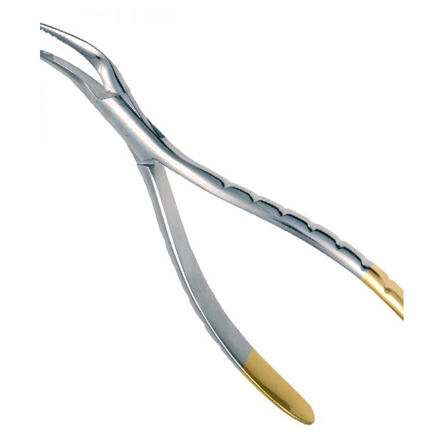 Tc Root Forceps