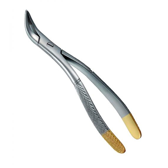 Tc Witzel Root Forceps