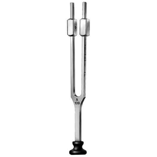 Tuning Fork