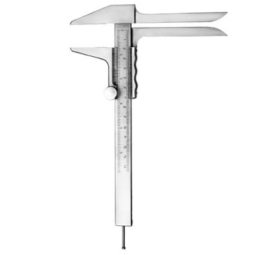 Vernier